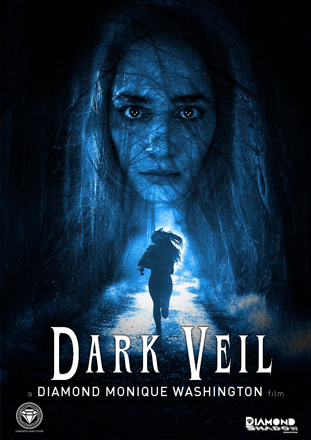 Dark Veil Poster